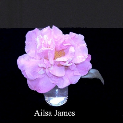 Ailsa James